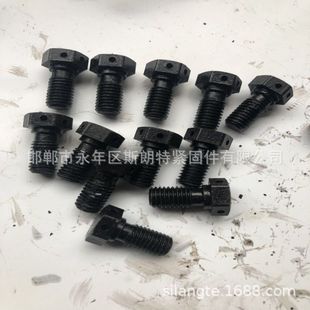 Hex Head Non-Removable Screw Din 7964 Head Bolt with Hole Gb/T32.1 Threaded Bolt with Hole