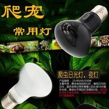 UVAĥɰ�ӟ��՟����x����������������g������B���ҹ���۹��