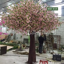 ҘѻD÷cһ҃ȴͼ٘̈bS