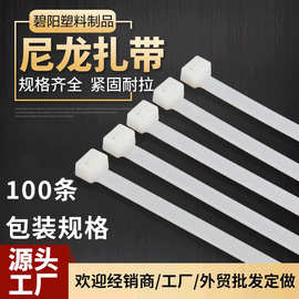 自锁式尼龙扎带厂家批发100条黑白色3*4*5*8*10*12塑料束线捆绑带