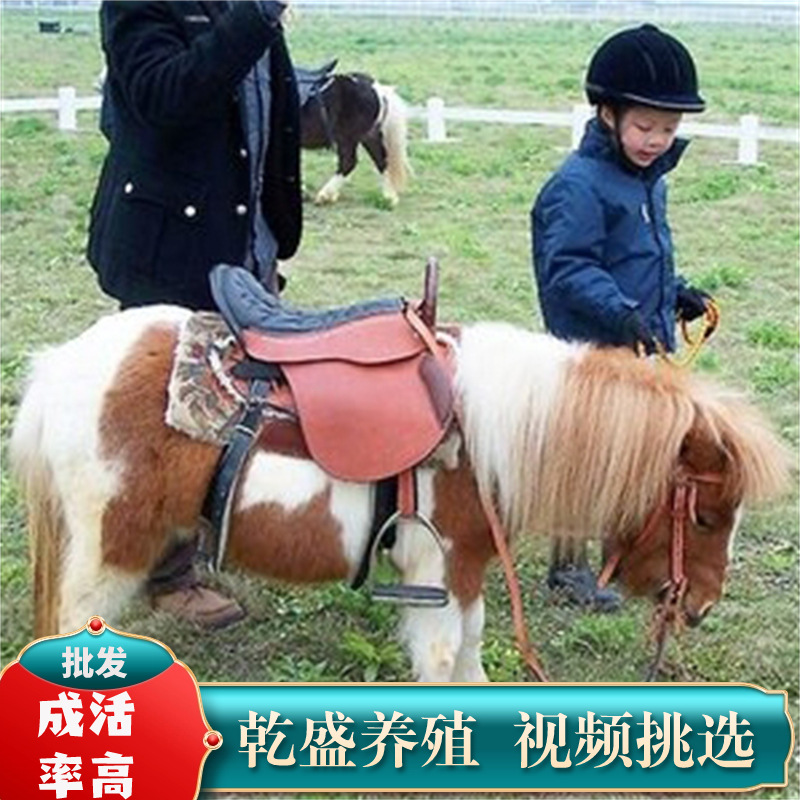 lQDPJw-mLAxecLnNASvNAZCwCrP6Hh