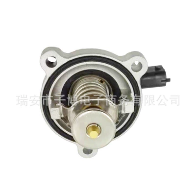 Tiggo 8 Thermostat – Thermostat