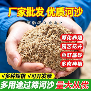 �S�����lɳ�Ӽ���Ȼ��ɳ�ֺ�ɰ���غ�ɳ����Nֲ�B���b�޽��B��ɳ