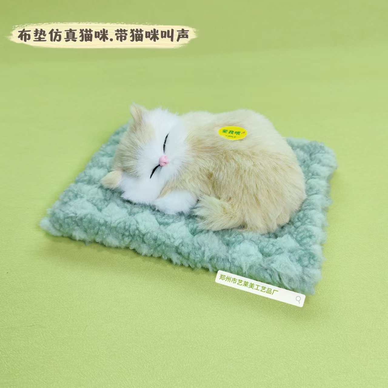 녹색 천 매트 베이지색 작은 고양이