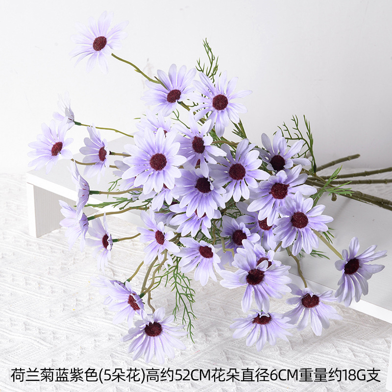 Crisantemo holandés azul violeta