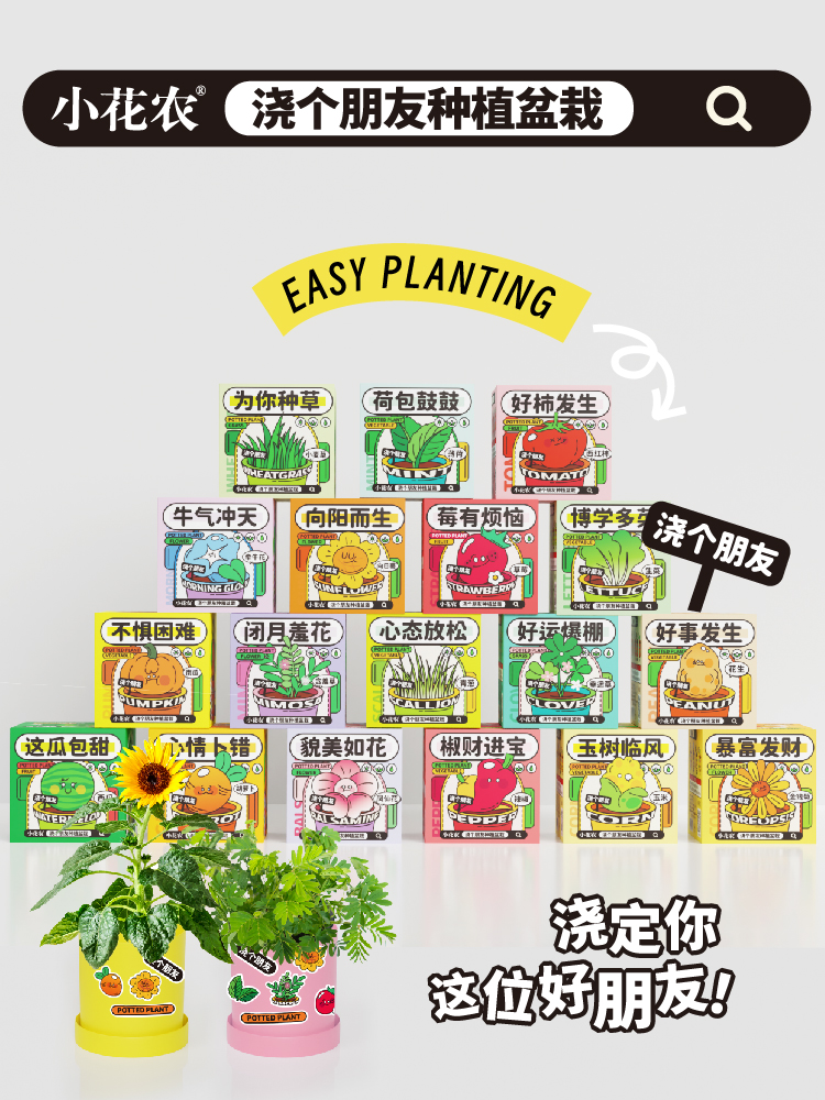 Plant small potted children's mini plants to observe kindergarten…