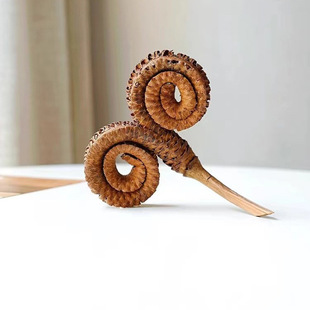 ��Ȼֲ��ɹ������ľ�����ֹ�diy�ɻ��ɘ�֦�b���