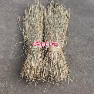 Straw Natural New Dry Grain Grass Hay Moldy Tofu Woven Pet Pet Nest Warm Factory Direct Cross-border