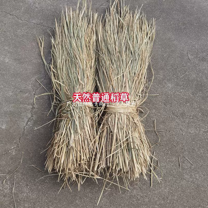 Солома натуральная новая сухая трава сена плесень тофу плетеное мясо для домашних животных