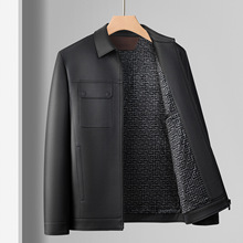 2025�＾�¿�Ƥ����������ʿ����߼���Ƥ�A���׿�ͬ��IƤ����