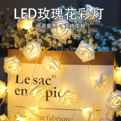 国境を越えたledカラーランプバラの電池箱ランプはバレンタインデーの結婚祝いの装飾ランプのクリスマスの配置の露店をまっすぐにしている