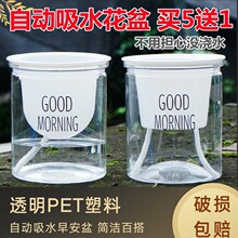 ���W����ˮ��͸�������Ԅ���ˮ�簲��G�}���W���s���m�Gֲ���⻨