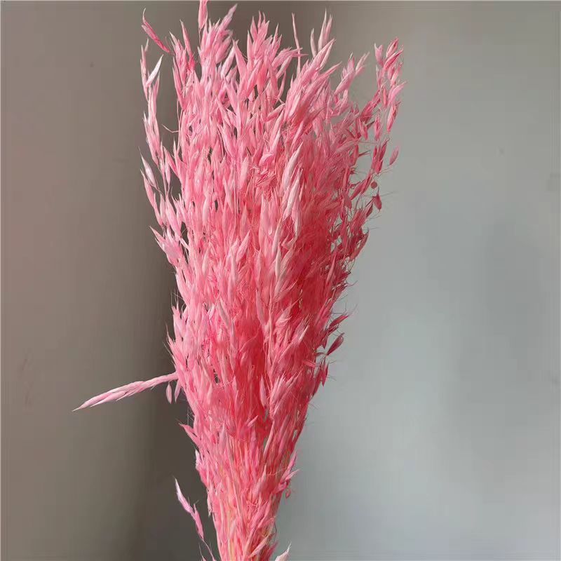 핑크 오트밀 30스틱