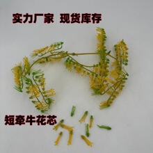 �������z����ţ��о���Ȼ�о����ֲ�ﻨо���ϻ���������Ʒо