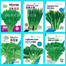 蔬菜种子四季播家庭阳台盆栽庭院易种植番茄黄瓜辣椒西瓜籽孑包邮