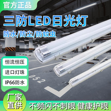 led������t8���p��ȫ�׷��x�����L�l֧�ܟ�1.2�׷�ˮ�����չ����