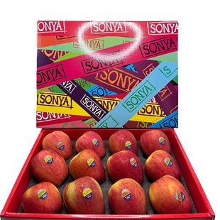 �V�ݽ������lֱ�l����S�������m����I�O��SONYA���r12�w�Y���b