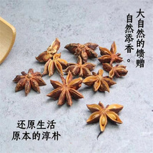 �V���˽���޽��簫�����ڰ˽Ǵ��Ϙ��������t�_�R�N�I�B����