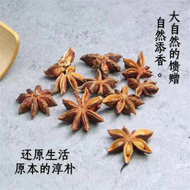 广西八角苗嫁接苗矮化正宗八角大料树苗古龙大红罗马种营养杯苗