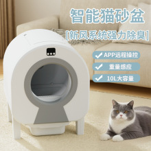 ����èɰ��ȫ�Զ�����������è����APPң��һ�������Զ�èɰ��