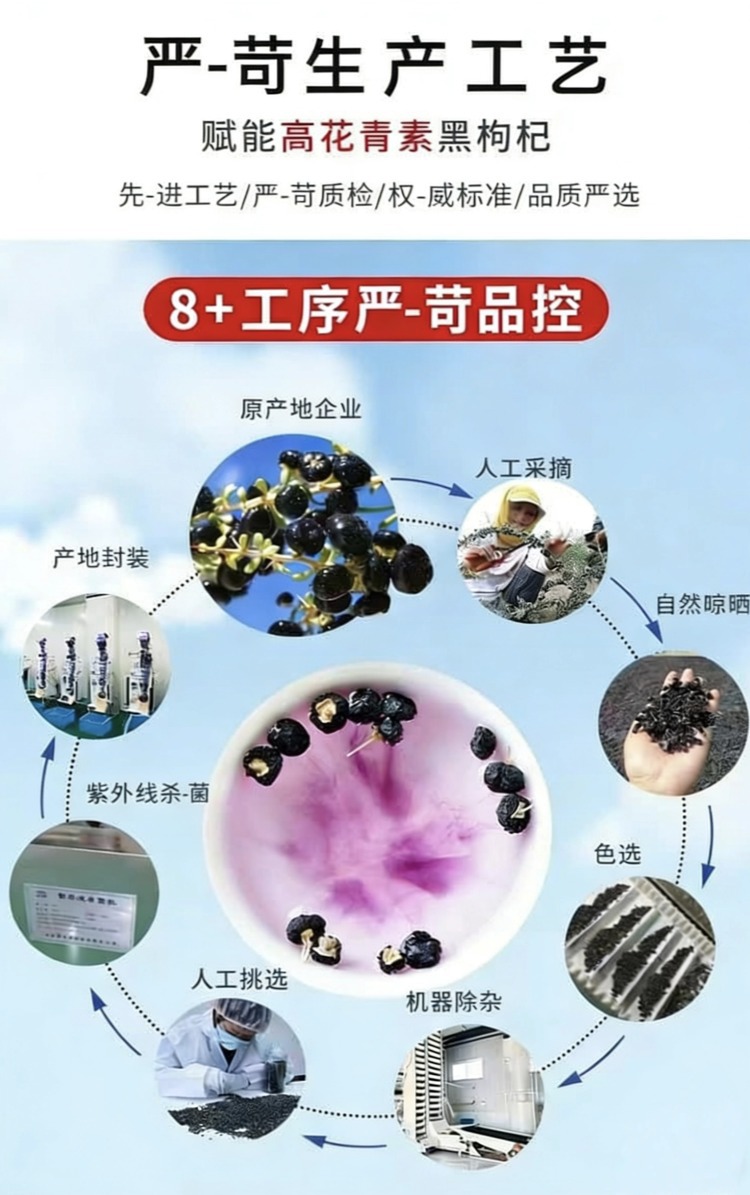 Dried Black Goji Berries Hei Gou Qi Zi Natural Sun Dried Hand Selected Clean No Sand 500g overview