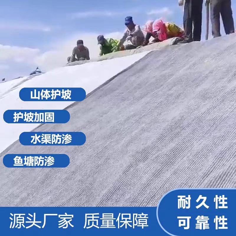 新型浇水固化水泥毯鱼塘水渠景观湖护坡混凝土水泥毯生产厂家定制