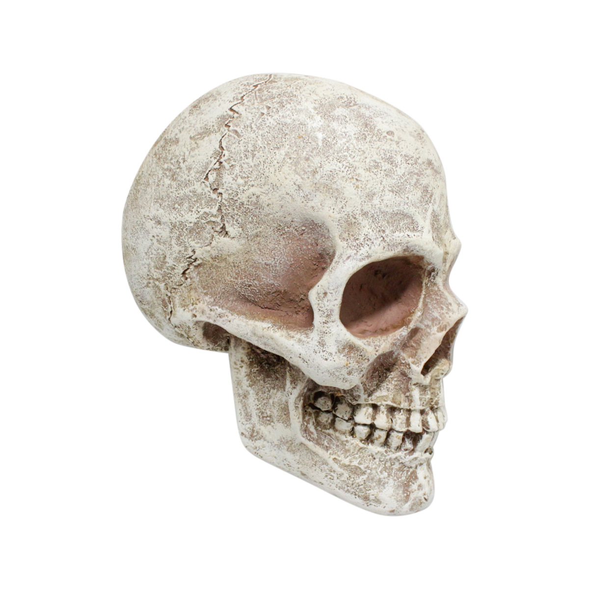 Creative Halloween Cartoon Skull Character Ornaments Home Resin Crafts  Ghost Festival Decoration Gift 