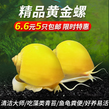 �S���ݵ�ˮ�^�p�ݻ��w�坍�ݳ�����̦�������O���ݲ��Ӝس��~����