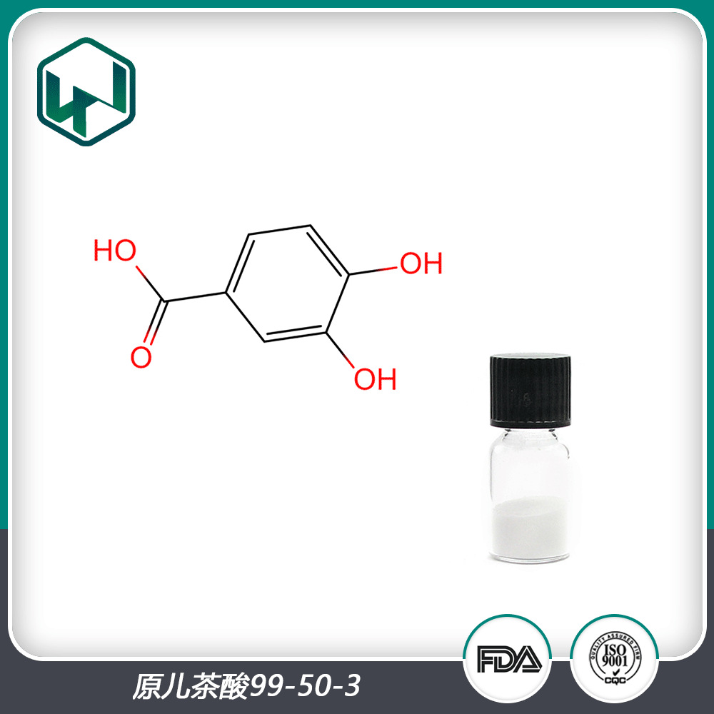 冬青叶提取物 98%含量原儿茶酸植物提取原料粉 现货包邮量大从优