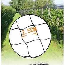 �A�Q���o�Bֳ��ݮ���B�W�����~���~����W���B�W���@�������W����