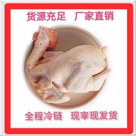 广东正宗清远走地鸡清远土鸡现杀现发货厂家直供农家散养全程冷链