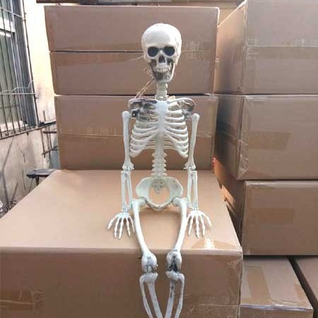 Halloween esqueleto de plástico esqueleto de plástico tamaño de niños esqueleto humano decoración de casa embrujada colgar props fantasmas al por mayor