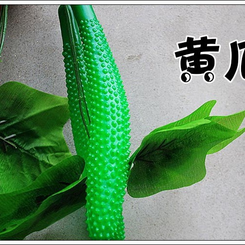 큰 잎 오이 2 팩