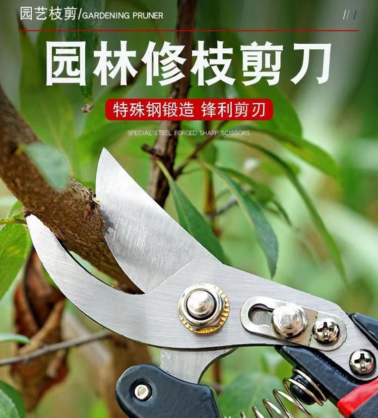 戶外鋒利加厚修枝剪粗枝園林剪刀家用省力果樹剪刀修盆景花藝剪