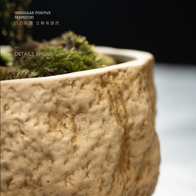 Tanque de peces antiguo, paisajismo ecológico, cuenco, lotus, lenteja de agua, lavabo de cerámica, balcón doméstico, piscina hidropónica, decoración pequeña, piedra de imitación