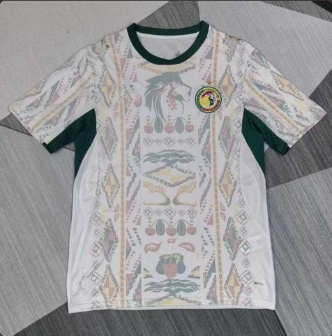 2627 Camiseta de fútbol de la Copa del Mundo Argentina Brasil Francia España Noruega Inglaterra camiseta de mangas cortas image 44