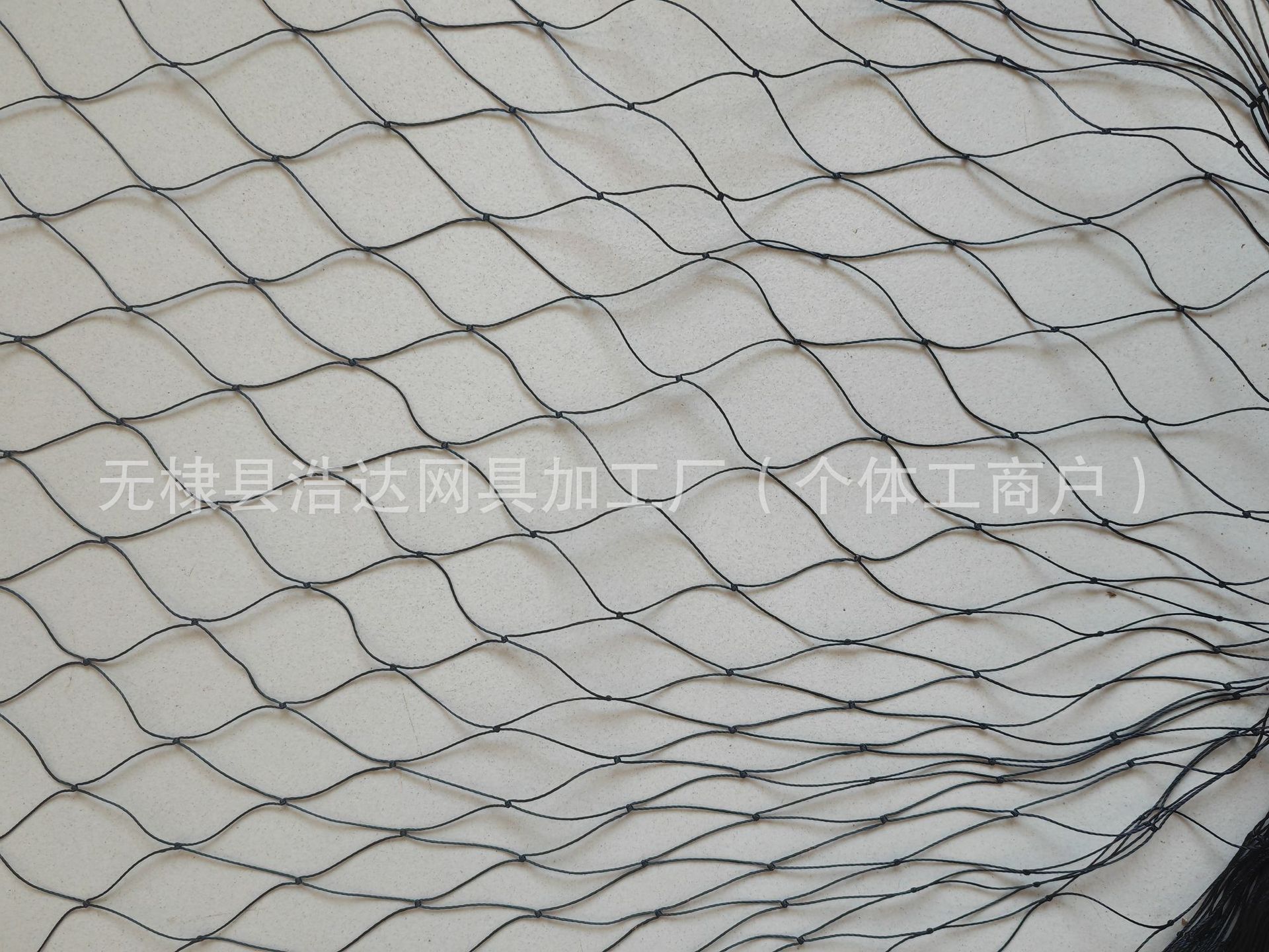 微信图片_20240425123235