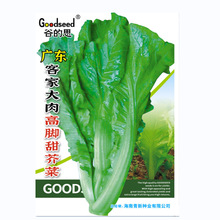 �T�����߲˷N�ӏV�|�ͼҴ�����_���˷N�ӻ�����@¶���̨ͥԺ