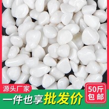 白色鹅卵石铺地抛光雨花石原石天然石头装饰软户外庭院造景白石子