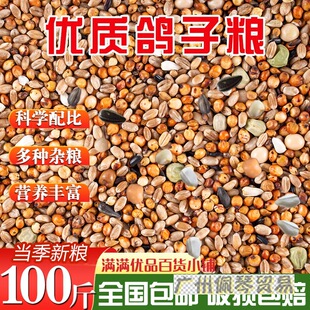 100�������נI�B���Z20�����������^�p��ِ���Zʳ50��������ӼZ