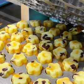 火烤蛋糕板商用加厚机器37个梅花形小蛋糕模具小时候的味道蛋糕机