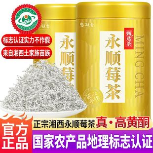 2025���ݮ�� �ߙn�������ѿ�����������������Sͪ�� 50�˹��b