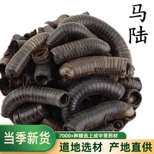 ɽ���x ��ș���R�  �ٹ��x �����x �R�p�x ǧ���x ǧ�_�x�ӗU�x