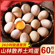 60枚土鸡蛋农家散养现捡新鲜鸡蛋营养笨鸡蛋整箱30枚批发价批发