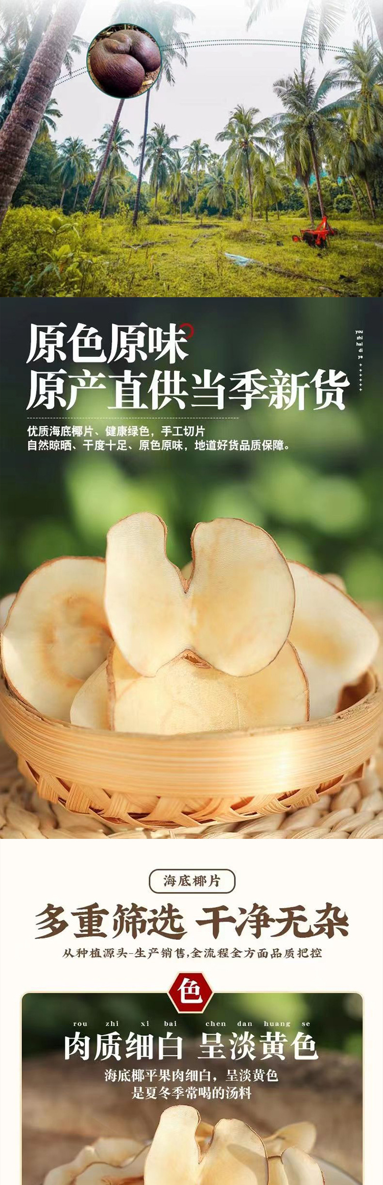 Dried Sea Coconut Slices Hai Di Ye 500g Bulk Herbal Soup Ingredient for Snow Pear Soup and Decoctions specifications