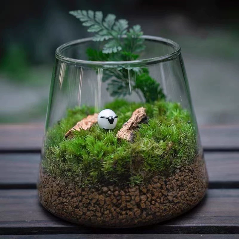 Микроландшафтная эко-бутылка гидропонное растение мясистая ваза комнатная зеленая посадка украшения diy песочная роспись ароматерапия свечи чашка