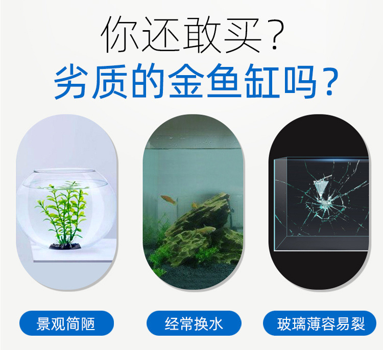 7d4dea59-164c-4624-a937-dd90e77cd49f.jpe