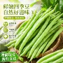 湖北农家新鲜时令蔬菜