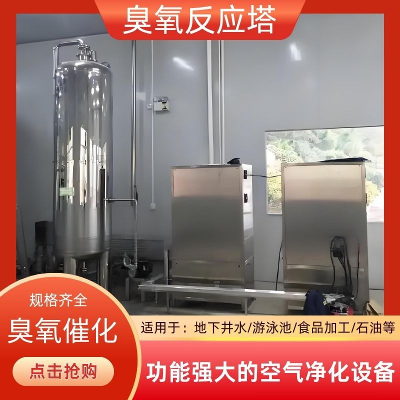 不锈钢臭氧混合塔催化氧化塔水处理净化杀菌消毒设备臭氧反应罐