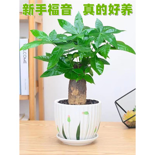 �lؔ��͏d���Դ󻨻ܽ��X���҃ȾG�}���F��ˮ��Gֲ����B��ؔ